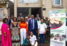 Atelier APADIME à Douala : des blogueurs formés à la législation forestière, aux forêts communautaires et à la lutte contre la criminalité environnementale dans le Bassin du Congo.