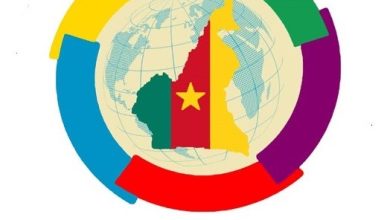 le Réseau des Organisations de la Société Civile de la Francophonie du Ministère des Relations Extérieures